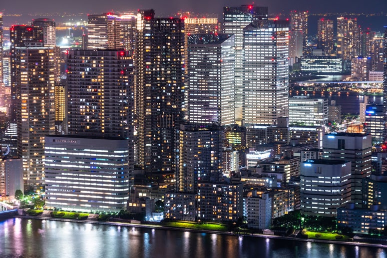 バイセルレジビル